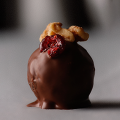 Trufa de nozes com cranberry